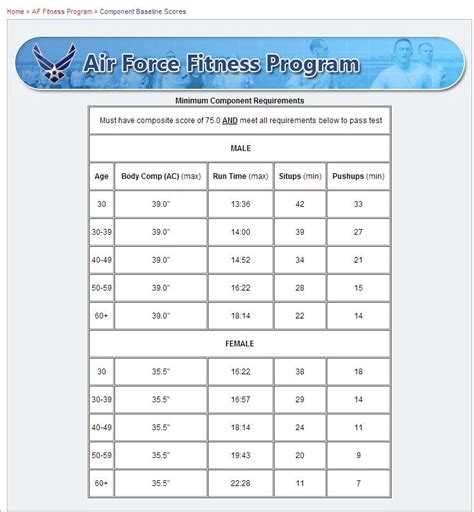 Usaf Body Composition Chart