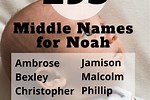 Usernames with the Name Noah