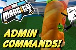 Using Admin Commands in Mad City