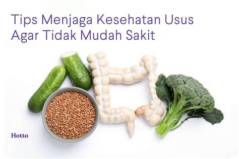 Usus Sehat