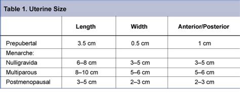 Uterine Size Chart