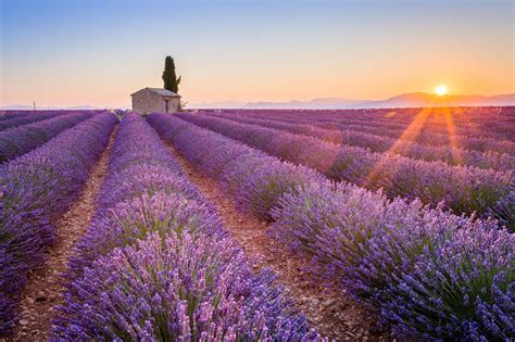 VALENSOLE à Peille