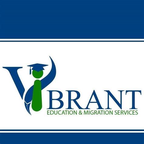 VIBRANT EDUCATION SERVICES