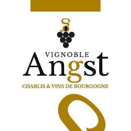 VIGNOBLE ANGST à Pontigny