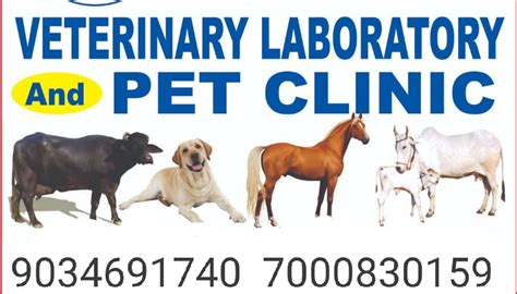 VM Veterinary Laboratory and Pet clinic
