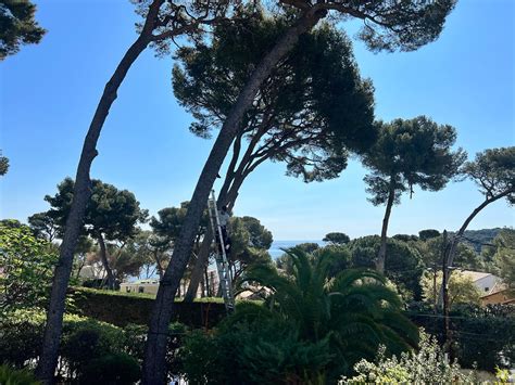 VOLTAIR à Antibes