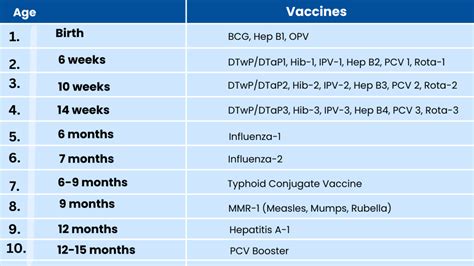 Vaccine Chart For Newborn