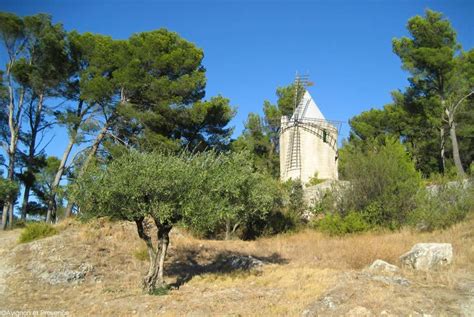 Vaisse à Barbentane
