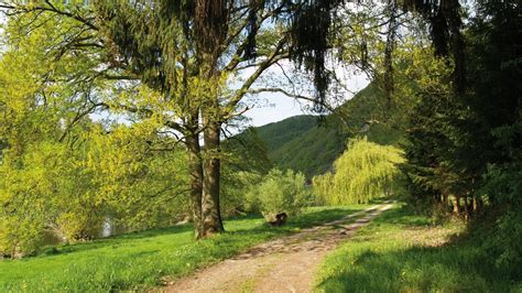 Val de Meuse Express à Chooz