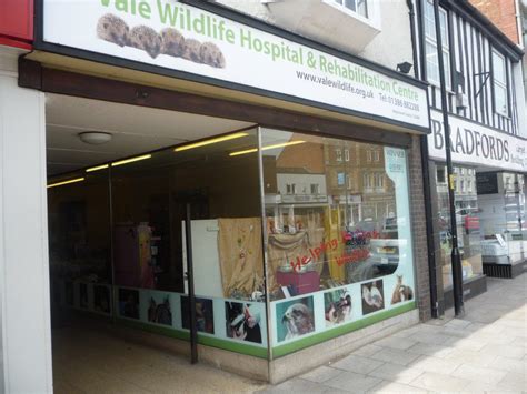 Vale Wildlife Charity Shop