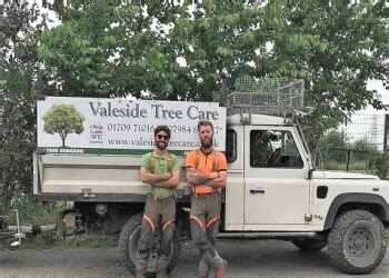 Valeside Tree Care