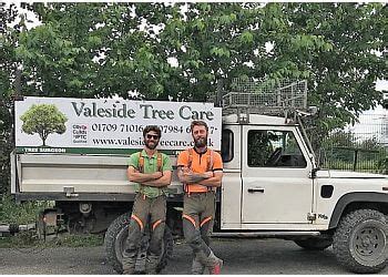 Valeside Tree Care