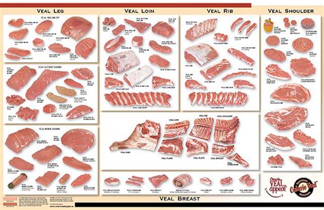 Veal Meat Cuts Chart
