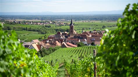 Vedi Cooking à Rodern