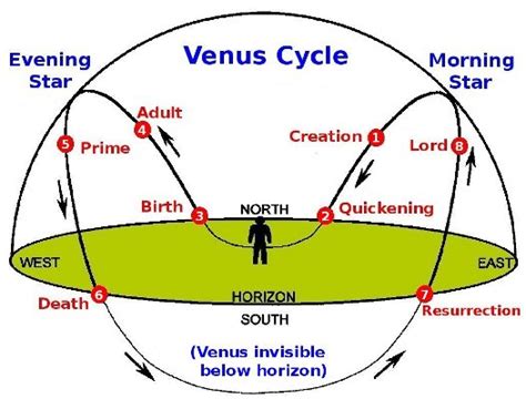 Veenus Cycles