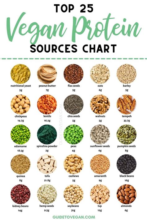 Vegan Protein Food Chart