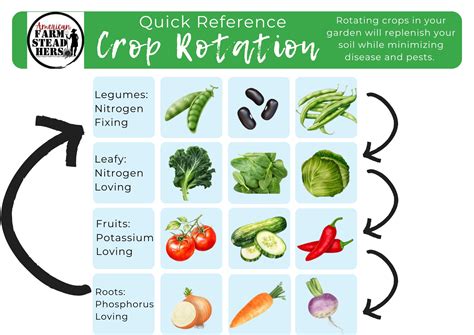Vegetable Crop Rotation Chart