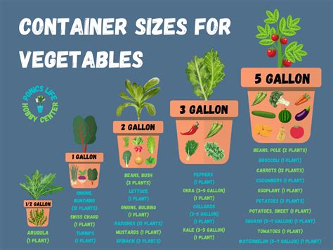 Vegetable Pot Size Chart