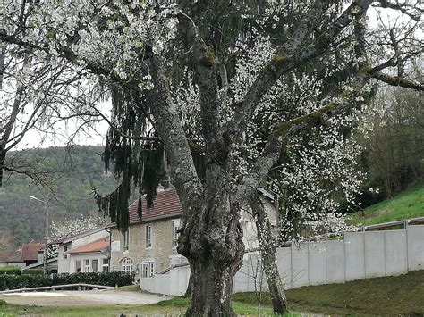 Verlinfelo à Chalezeule