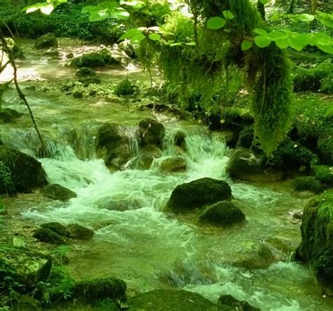 Vert Mousse à Gorges