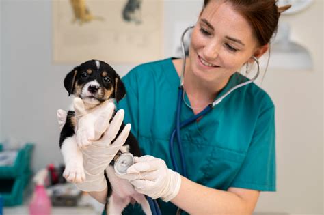 Vet care & Pet Shop