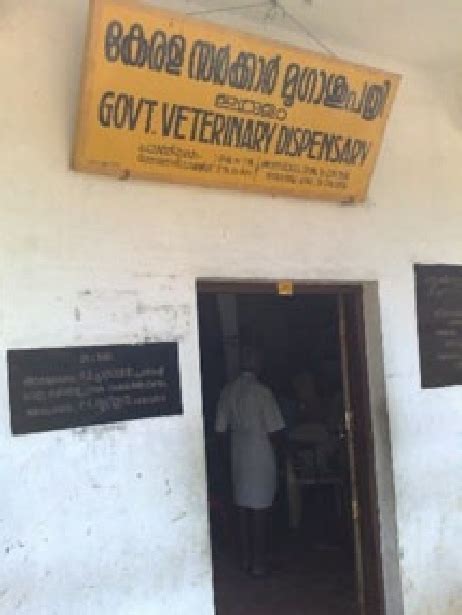 Veterinary Dispensary Pashupatihal