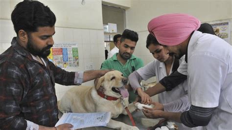 Veterinary Polyclinic, animal health center West Bengal