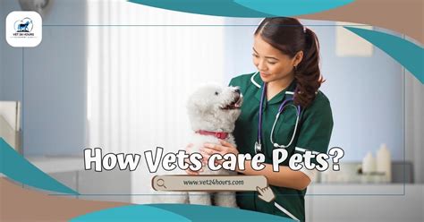 Vets Care - Pets And Animals