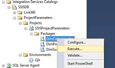 View Package Execution History In Integration Services Catalog