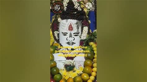 Vinayaka decorators godown