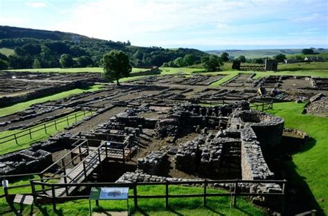 Vindolanda Museum and Archaeological Site