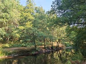 Vinicrus à Bersac-sur-Rivalier