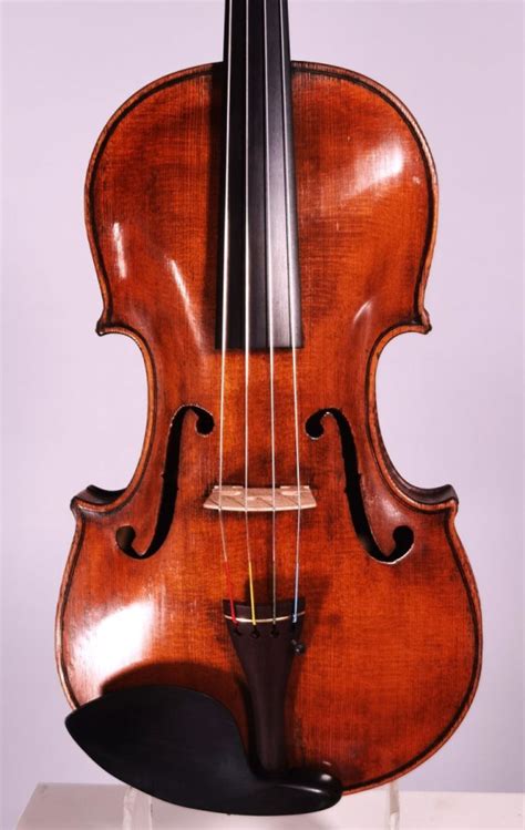 Viola Naples