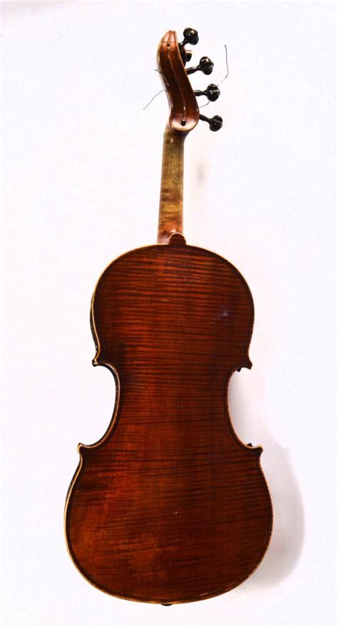 Violon Collection à Lure