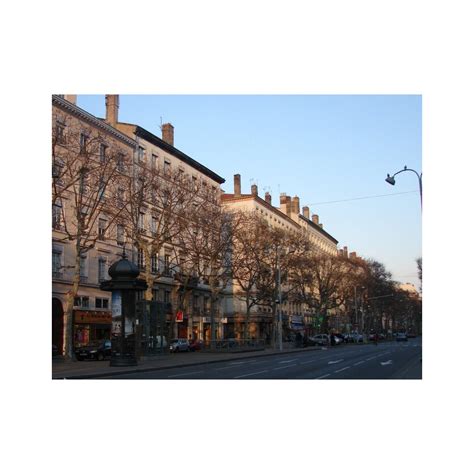 Virreos Expertise à Laon