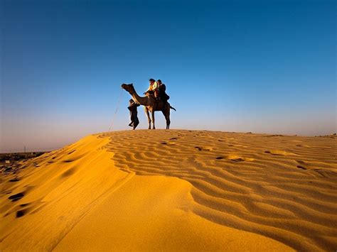 Vishal Camel Jeep Safari Jaisalmer