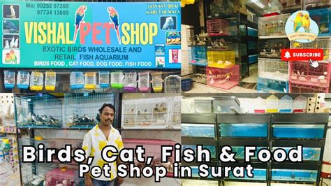 Vishal Pet Shop