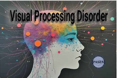 Visual Processing