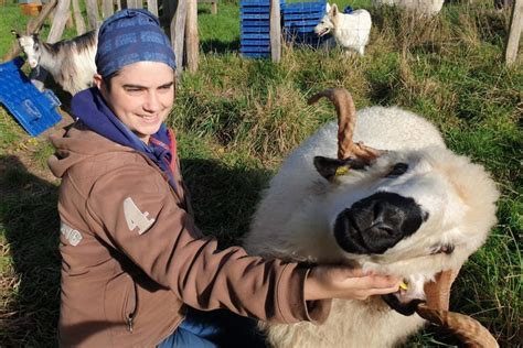 ViviAnimation à Triqueville