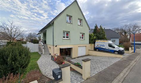 Voltelia à Gambsheim