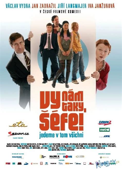 Vy nám taky séfe! (2008) film online,Martin Kotík,Mahulena Bocanová,Ladislav Hampl,Michal Hruska,Iva Janzurová