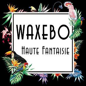 WAXEBO à Morlaix