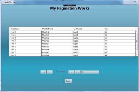 WPF Controls with Pagination