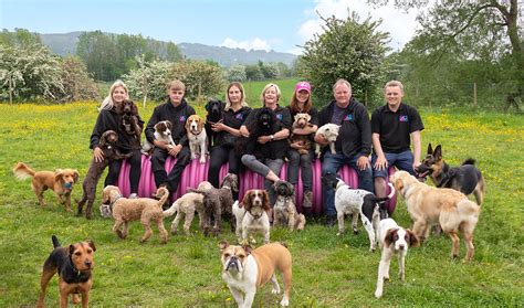 Wagg and Bone Dog Walking and Pet care services (Clitheroe, Ribble Valley)