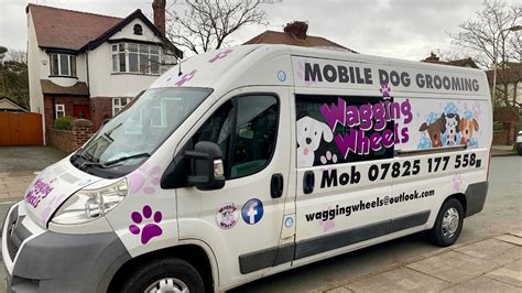 Waggies Mobile Dog Grooming