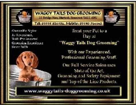 Waggy Tails Dog Grooming