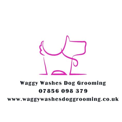 Waggy washes dog grooming salon