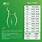 Waist-Size-Chart