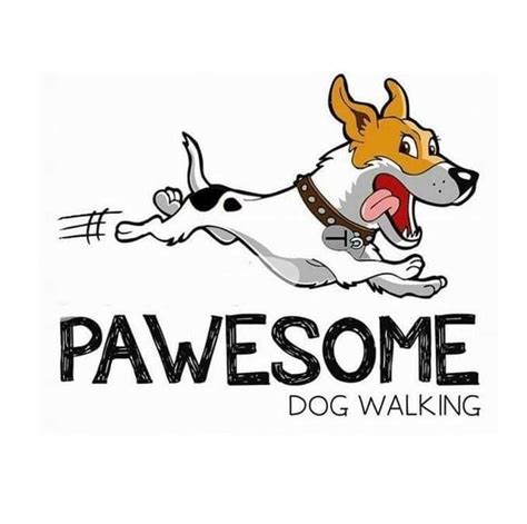 Walk My Friend - Dog Walking Wilmslow