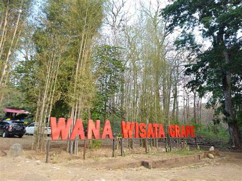 Wana Wisata Grape